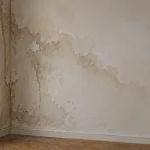 Ilustración de una pared interior con marcas de humedad en una vivienda.